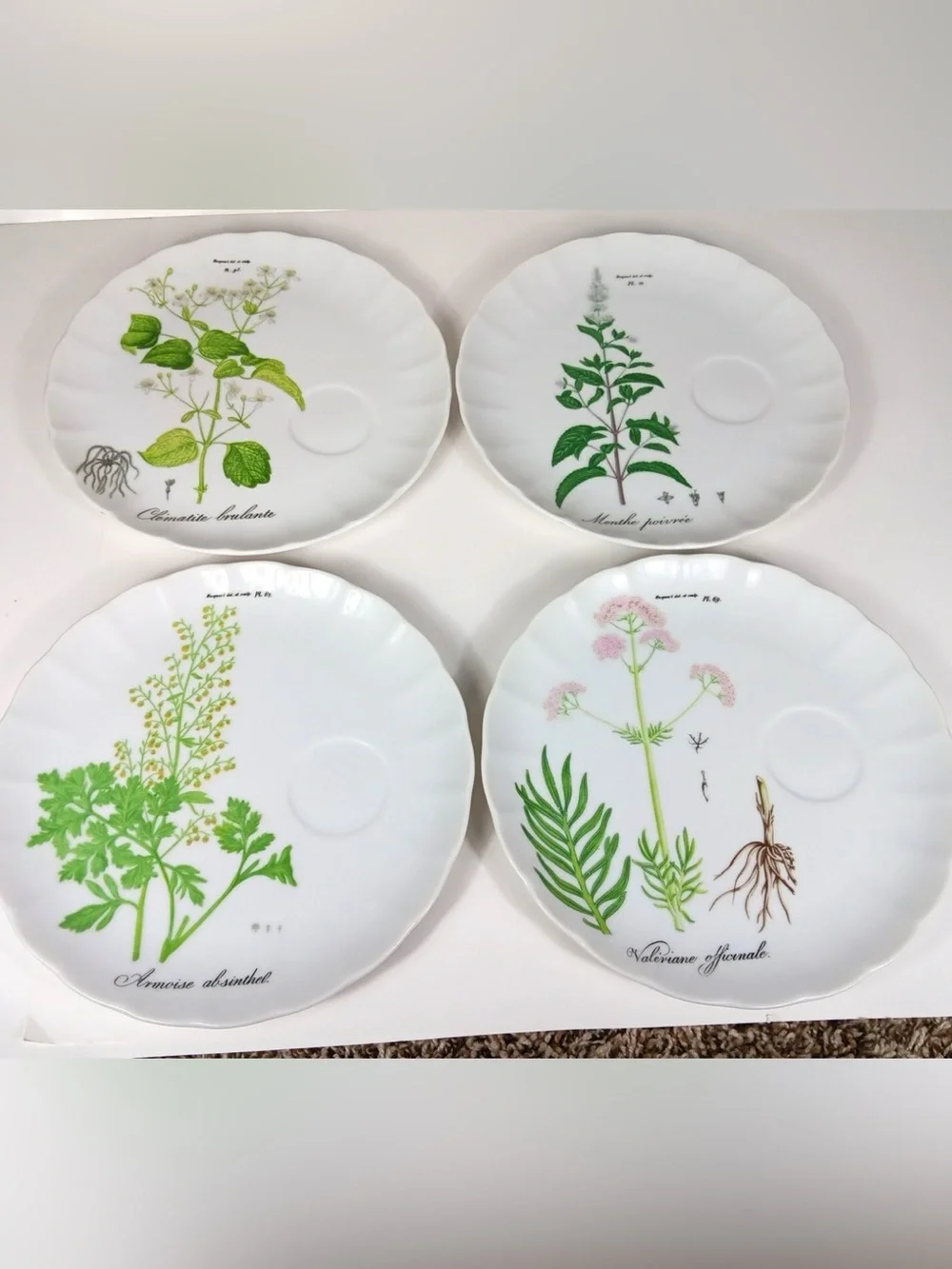 TASTE SETTER COLLECTION® Botanical Green and Pink  Scallop plates  Set - 4